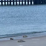 Sea,sun And Fun Vernieuwd Modern Op Toplocatie 50 M Visserkaai