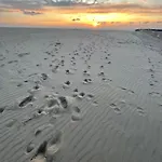 Apartment Sea,sun And Fun Vernieuwd Modern Op Toplocatie 50 M Visserkaai