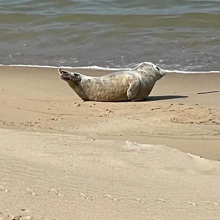 Sea,sun&fun * Ostende