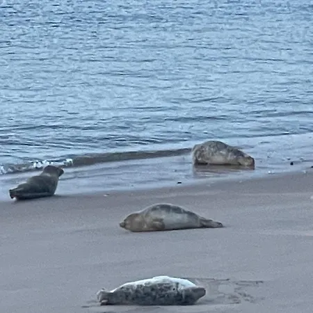 Apartament Sea,sun And Fun