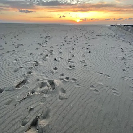 Apartment Sea,sun And Fun Vernieuwd Modern Op Toplocatie 50 M Visserkaai