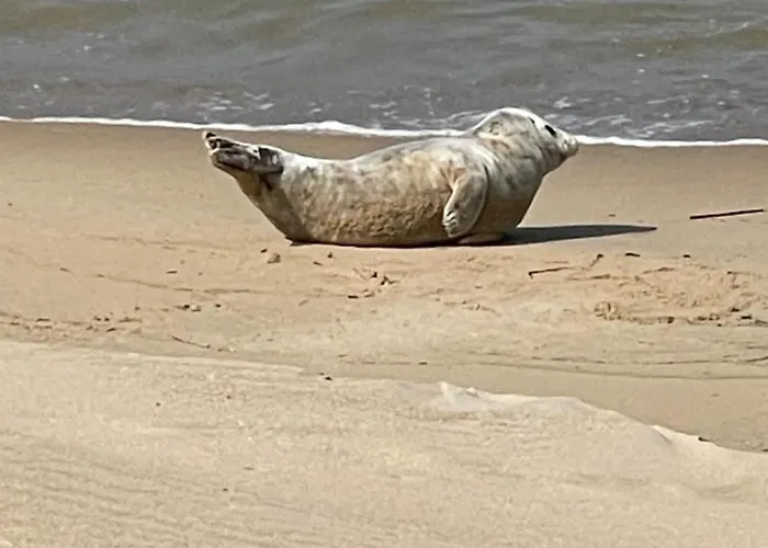 Sea,sun And Fun * Ostend