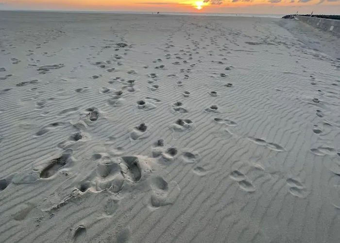 Apartment Sea,sun And Fun