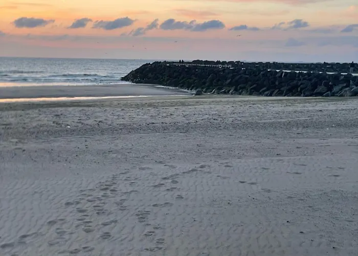 Sea,sun And Fun Apartment Ostend